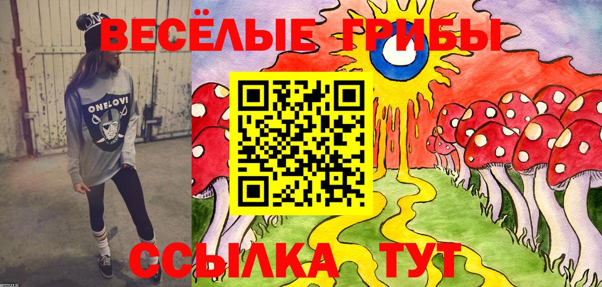 Галлюциногенные грибы прущие грибы Пенза