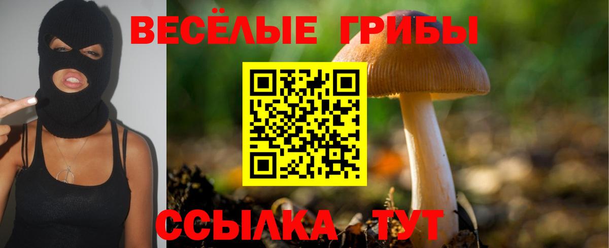 Пенза  Галлюциногенные грибы мицелий  где найти   Вход с VPN  Псилоцибиновые грибы прущие грибы 